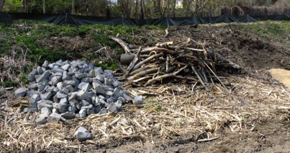 Zwei Eidechsenhabitate aus Steinen bzw. Holzstämmen