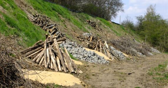 Bild zeigt Eidechsenhabitate aus Holzstämmen